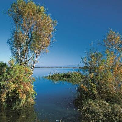 Humedales de Alagol, Almagol y Ajigol